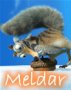 Awatar Meldar